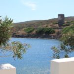 Vacanze in Sardegna: escursioni Asinara esperienza da non perdere 